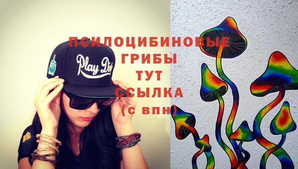 спиды Киреевск