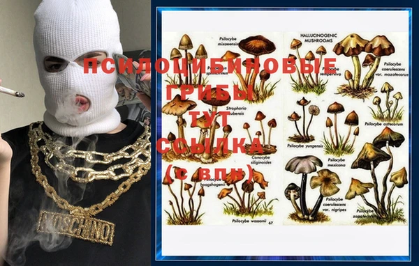 меф VHQ Кинешма