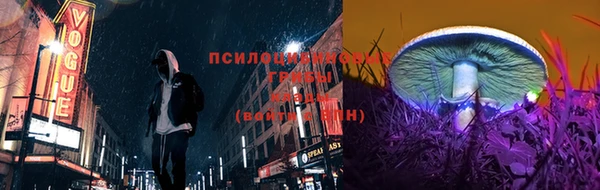 спиды Киреевск