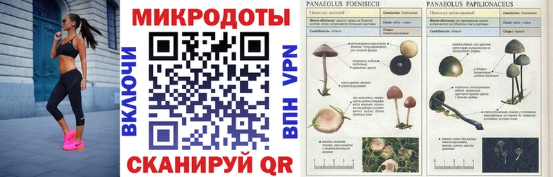 маркетплейс официальный сайт  как найти закладки  мега рабочий сайт  Мценск  Галлюциногенные грибы Magic Shrooms 