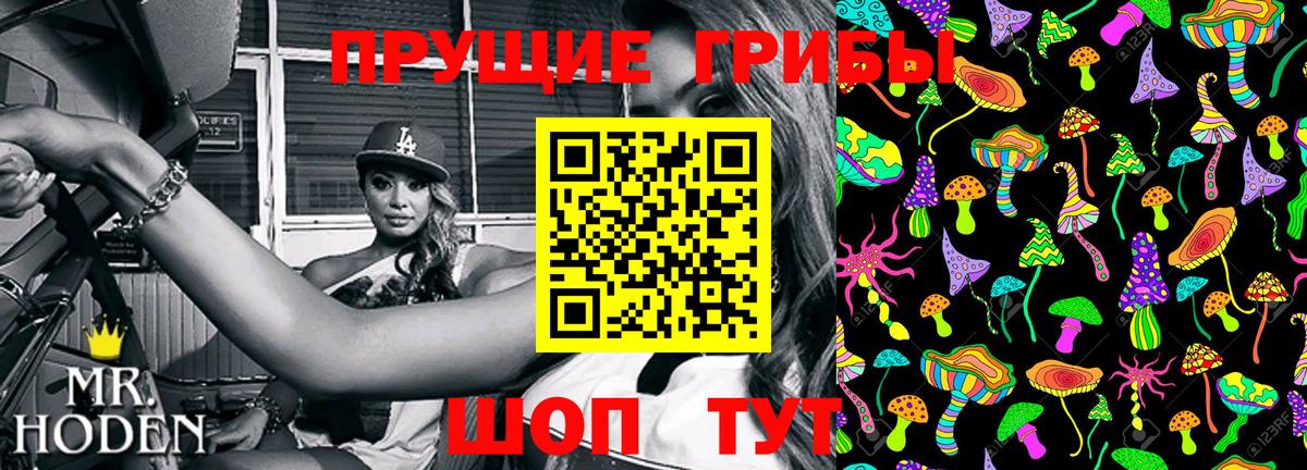 Галлюциногенные грибы GOLDEN TEACHER Мценск