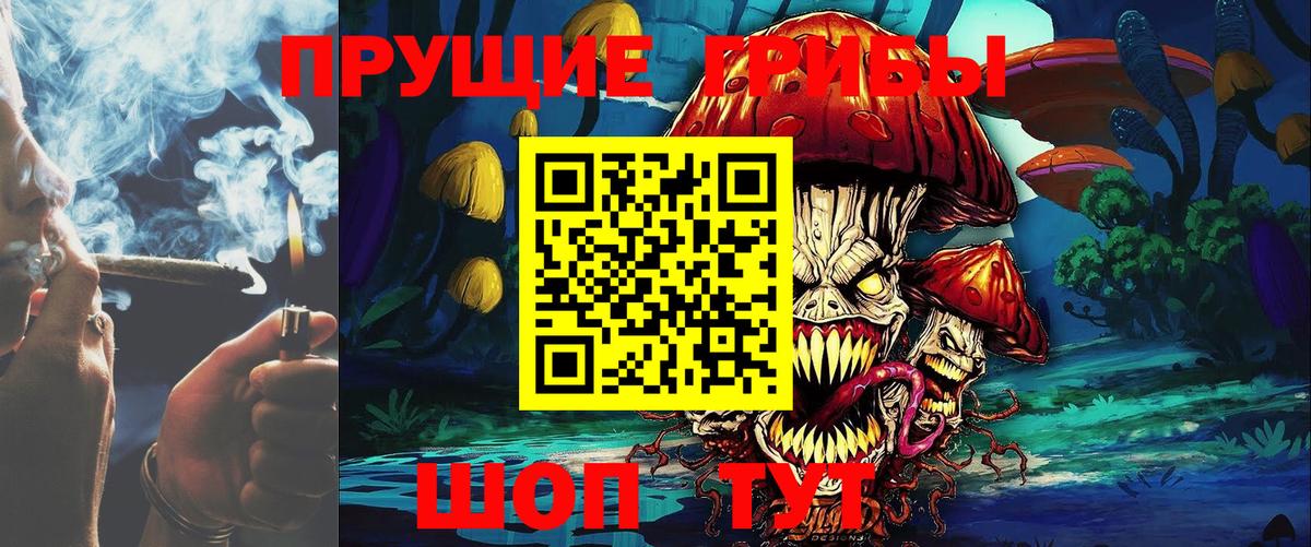 Псилоцибиновые грибы Cubensis  Вход с VPN  Мценск  Псилоцибиновые грибы Cubensis 