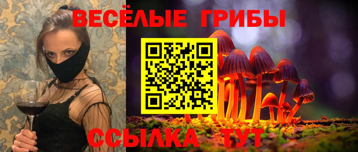 Галлюциногенные грибы Psilocybe Мценск