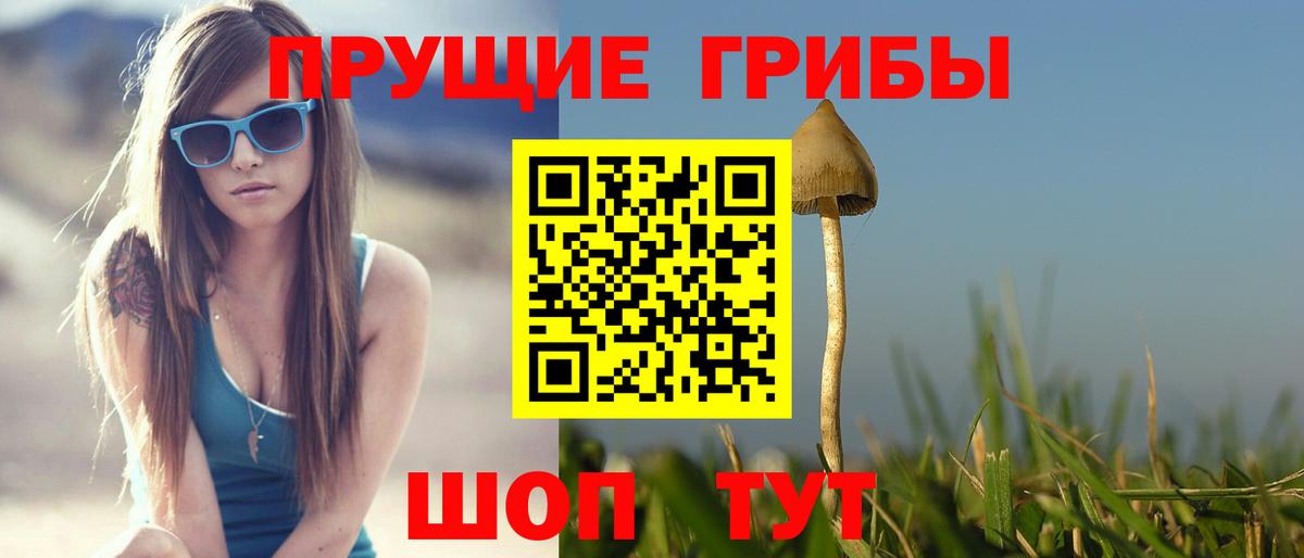 Бошки Шишки Мценск